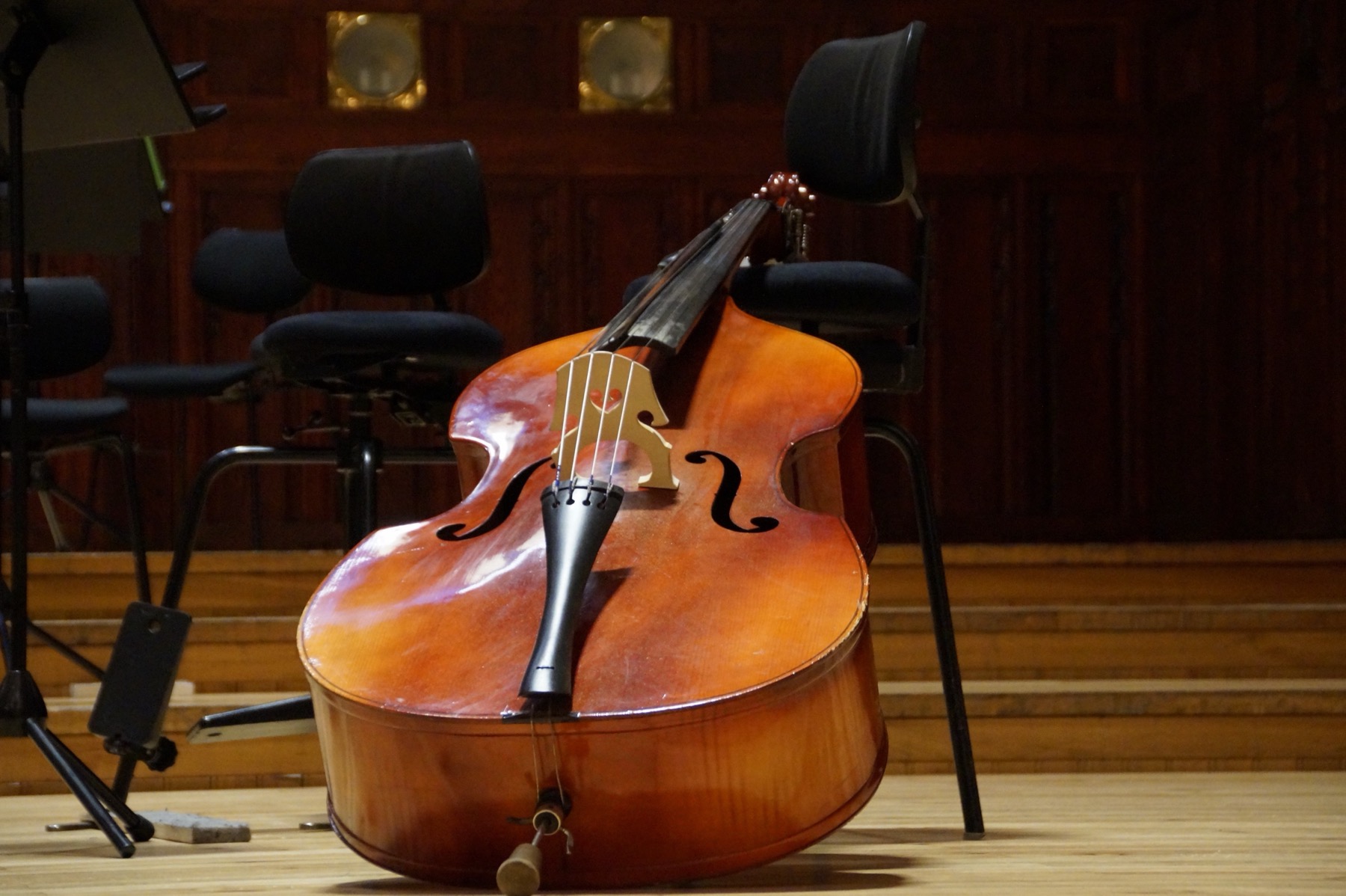 Contrebasses